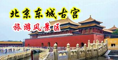 大鸡巴干少妇视频中国北京-东城古宫旅游风景区